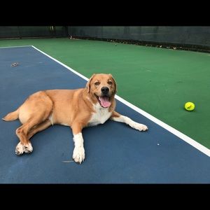 Meet your Posher, Morgan